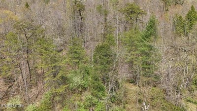 /international/us/roses-creek-rd-clairfield-tn-110098881605/?lang=zh-tw