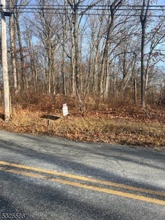 /international/us/3-a-old-bilby-rd-independence-twp-nj-110095911943/