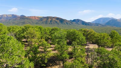 /international/us/deer-mesa-road-lot-10-valdez-nm-110105729635/