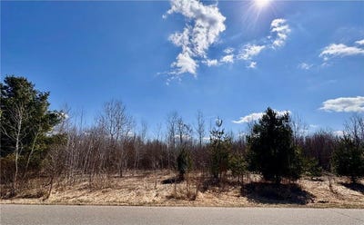 /international/us/409-partridge-lane-foreston-mn-110108294294/
