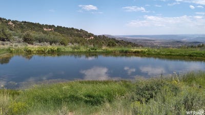/international/us/fruitland-ut-110097727657/