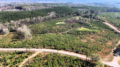 /international/us/0-county-road-25-banks-al-110104149029/
