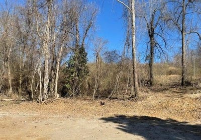 /international/us/15944-brownsferry-road-ms-110106298708/