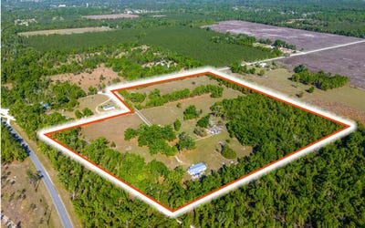 /international/us/live-oak-fl-110107166653/