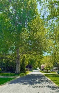 /international/us/1032-elm-street-prosser-wa-110108139704/