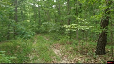/international/us/481-timberline-road-willow-springs-mo-110101001934/