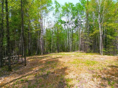 /international/us/72xxx-e-central-lakes-road-eveleth-mn-110101118467/?lang=zh-tw