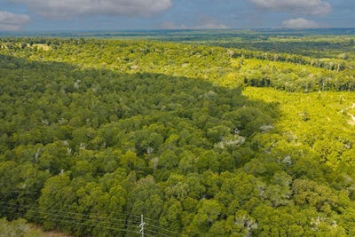 /international/us/power-dam-road-newton-al-110119932357/
