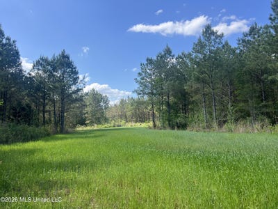 /international/us/1479-truesdale-road-carthage-ms-110107316291/