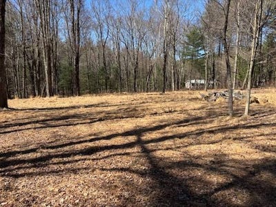 /international/us/25-five-roses-e-ancram-ny-110104843216/