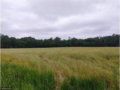 /international/us/6xxx-county-road-6-nw-wyanett-twp-mn-110100251777/