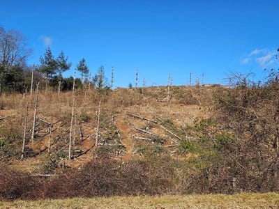 /international/us/excelsior-school-rd-lot-0-laurel-fork-va-110104948848/