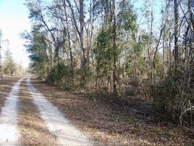 /international/us/ne-cedar-trail-pinetta-fl-110101189786/?lang=zh-cn
