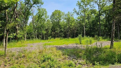 /international/us/2472-e-squire-road-marthasville-mo-110100838374/