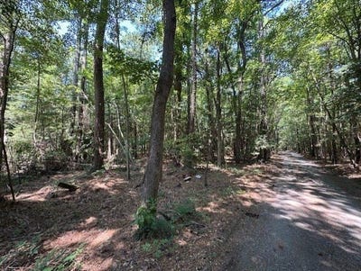 /international/us/0000-old-ferry-road-mathews-county-va-110101430893/?lang=zh-cn