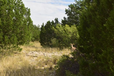 /international/us/4-j-ranch-phase-3-tracts-27-28-del-rio-tx-110101367723/?lang=it