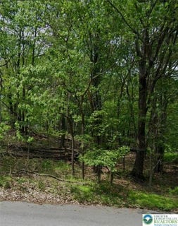/international/us/11-seneca-road-mount-pocono-boro-pa-110102792808/