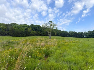 /international/us/1937-e-850-road-lecompton-ks-110106177322/