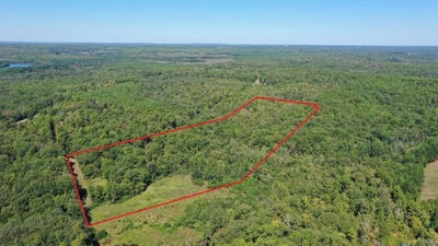 /international/us/282-county-road-1511-avinger-tx-110120132066/