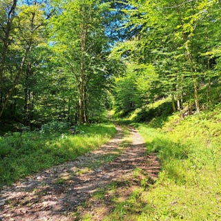 /international/us/21-doe-run-road-galeton-pa-110099987390/?lang=zh-tw