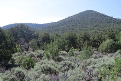 /international/us/20-miles-north-cerro-montoso-rd-taos-nm-110100322752/