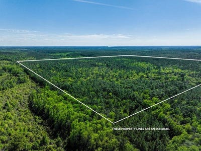/international/us/165-acres-harrison-rd-kinston-al-110107254968/