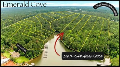 /international/us/emerald-cove-lake-community-lot-11-cross-hill-sc-110108610002/