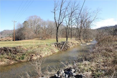 /international/us/199-sandy-mush-creek-road-leicester-nc-110048974843/?lang=zh-tw