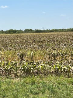 /international/us/15489-county-road-1726-lot-0-odem-tx-110086121891/