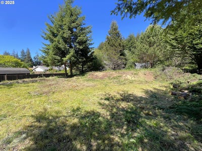 /international/us/2211-timberline-dr-coosbay-or-110097470120/