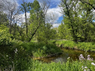 /international/us/5650-morrison-lake-road-saranac-mi-110099995217/