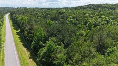 /international/us/1450-sr-145-grand-point-clanton-al-110108348366/