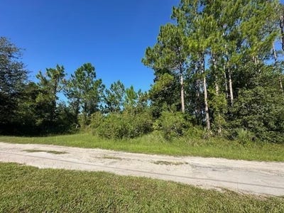 /international/us/woodland-avenue-paisley-fl-110101452051/