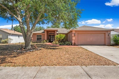 /international/us/127-winston-manor-circle-seffner-fl-110108123828/