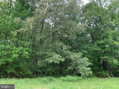 /international/us/black-bottom-road-galena-md-110107635706/