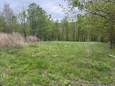 /international/us/174-burnett-lane-gillett-pa-110099339148/