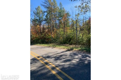 /international/us/lake-james-drive-prudenville-mi-110080435430/
