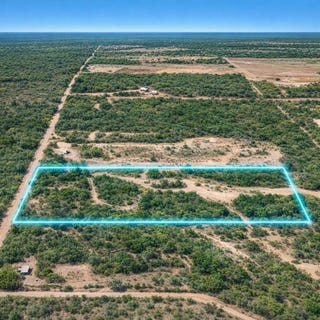 /international/us/20-acres-cr-421-christine-tx-110120059191/
