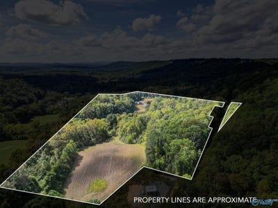 /international/us/6021-sand-valley-road-attalla-al-110120454478/