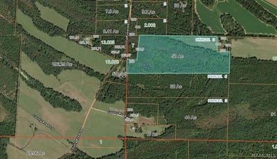 /international/us/county-road-308-selma-al-110108141019/