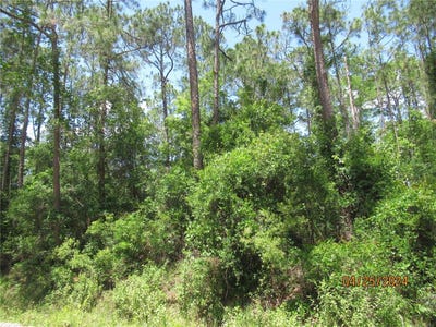 /international/us/2098-county-road-305-bunnell-fl-110092316491/?lang=zh-cn