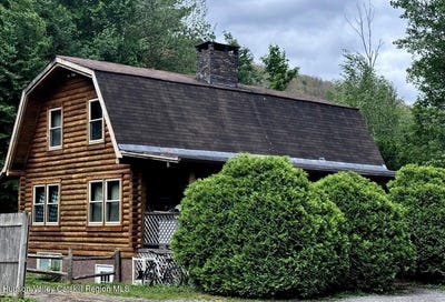 /international/us/42368-new-york-28-arkville-ny-110109135045/