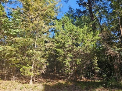 /international/us/152-timber-bluff-road-bullard-tx-110101405946/?lang=zh-cn