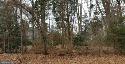 /international/us/14525-honeysuckle-way-issue-md-110110267741/