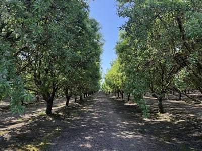 /international/us/15500-road-200-porterville-ca-110107985513/