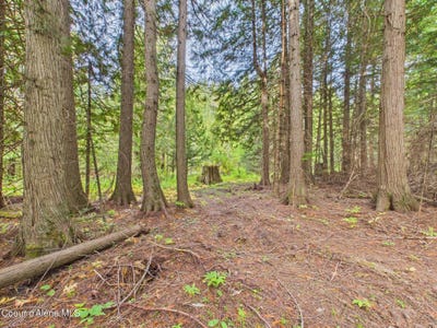 /international/us/2815-bear-creek-rd-kingston-id-110110404103/