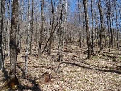 /international/us/6185-cass-road-slatyfork-wv-110106803643/