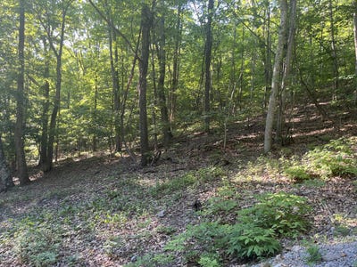 /international/us/34-wild-wood-ridge-caldwell-wv-110108663527/?lang=zh-tw