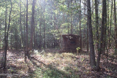 /international/us/9-star-landing-road-nesbit-ms-110120118991/