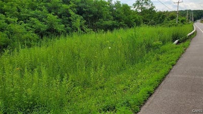 /international/us/herman-road-camillus-ny-110105268500/